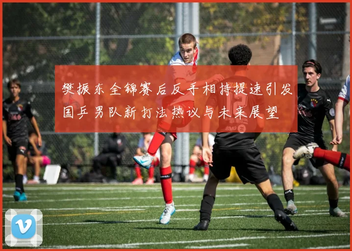 樊振东全锦赛后反手相持提速引发国乒男队新打法热议与未来展望